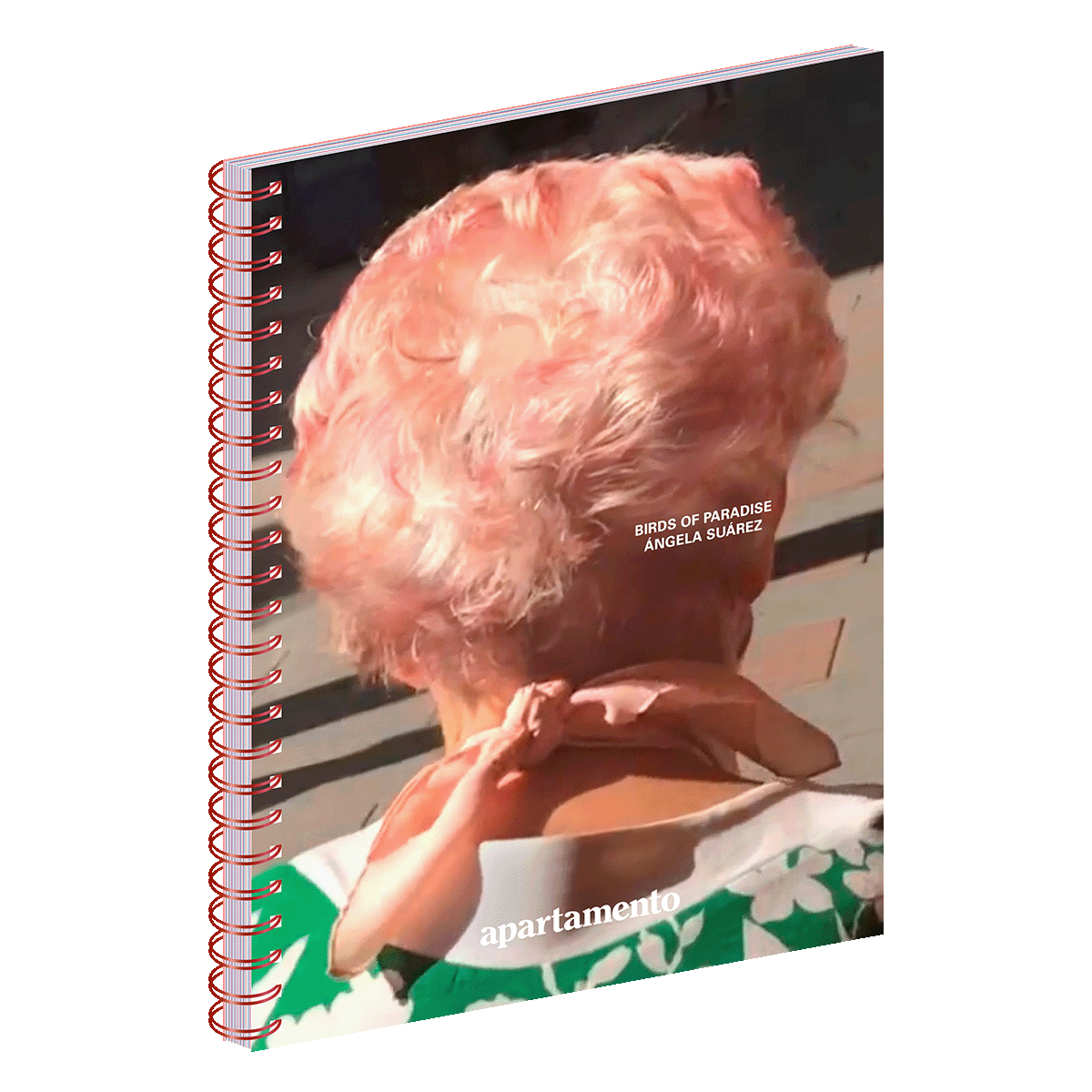 Birds of Paradise, Ángela Suárez