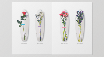 A Curious Catalogue - Michael Leon