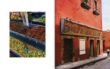 EL BAJÍO: Recipes & Wanderings Through Mexico's Heartland