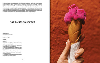 EL BAJÍO: Recipes & Wanderings Through Mexico's Heartland