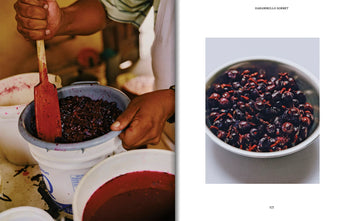 EL BAJÍO: Recipes & Wanderings Through Mexico's Heartland