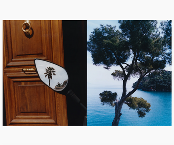LIGURIA: Recipes & Wanderings Along the Italian Riviera