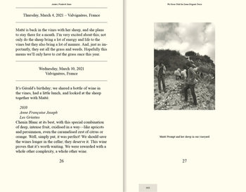 We Never Fold the Same Origami Twice, Anders Frederik Steen (Vol. II)