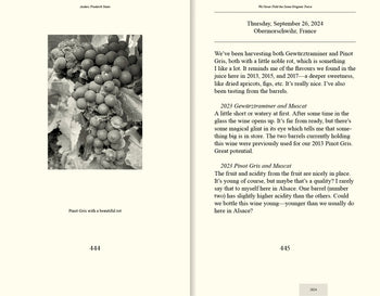 We Never Fold the Same Origami Twice, Anders Frederik Steen (Vol. II)