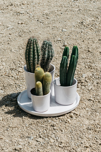 Type DW - Set vasi e sottovaso