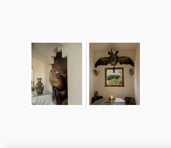 Casa Dalí, Coco Capitán