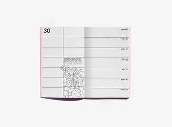 Planner 2025 Mandarin - Edition Julie Joliat