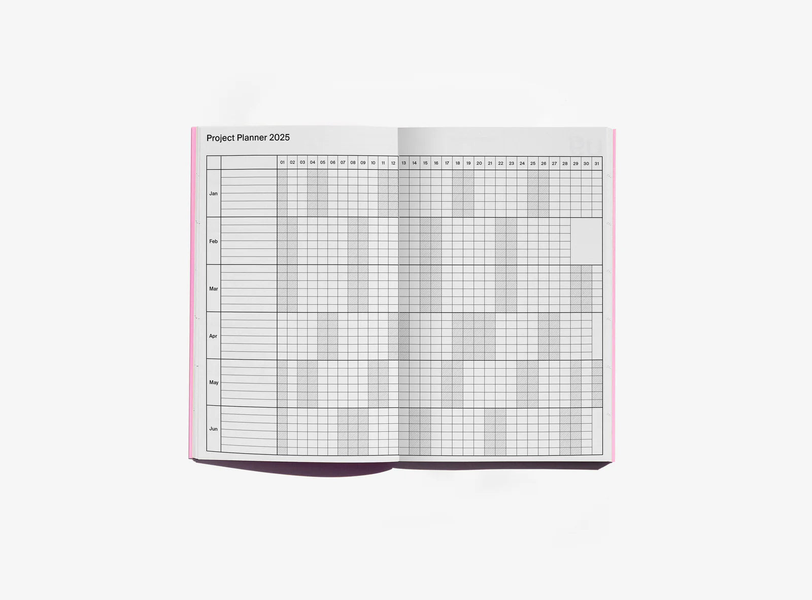 Planner 2025 Myrtille - Edition Julie Joliat