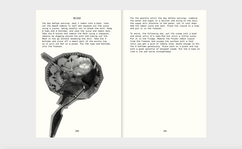 all-the-stuff-we-cooked-49-recipes-by-frederik-bille-brahe-apartamento-book-10