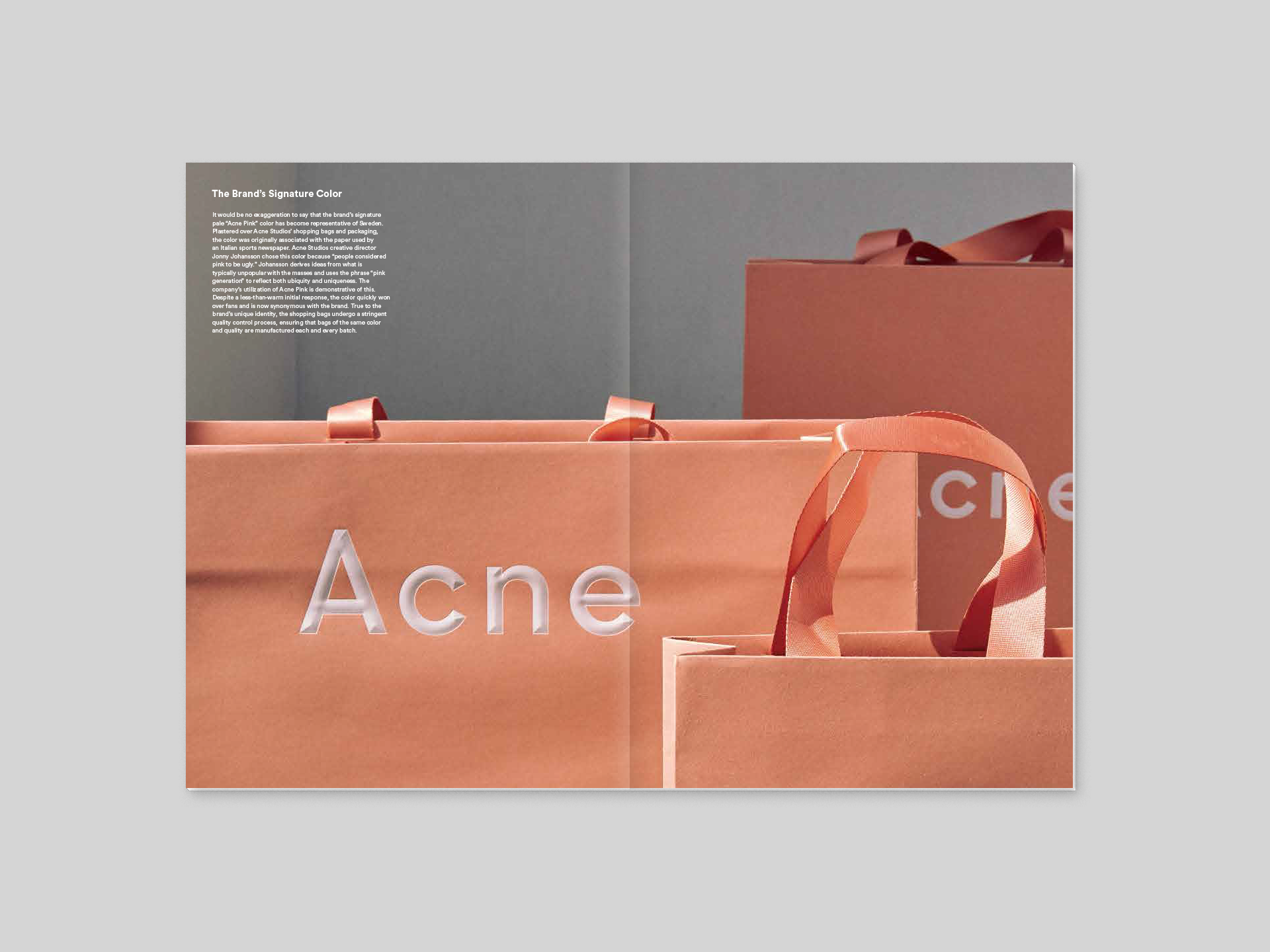 Acne Studios Magazine B Issue 61