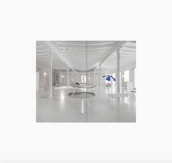 sam-chermayeff-beasts-book-apartamento-07